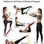 Loop Bands for Fitness, Yoga, Pilates, Legs, Waist, Shoulders, HIPS and Strength Training - Set of 5