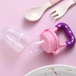 Fruit Feeder for 3 to 12 Months Babies (Multicolor) (Pack of 1)