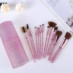 12 PICS Makeup Brushes Set with Case