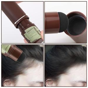 Mushroom Hair Shading Sponge Pen, Shadow Powder Stick (Pack of 1)