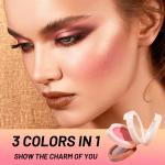 3 in 1 Blusher Highlighter Eyeshadow Palette Kit (Pack of 1)