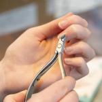 Professional cuticle cutter stainless steel cutter (Pack of 1)