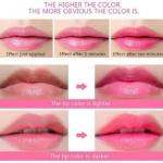 HIGH PIGMENT NATURAL LIP BALM (Pack of 1)