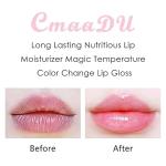 HIGH PIGMENT NATURAL LIP BALM (Pack of 1)