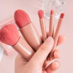 5 PICS Makeup Brush Set with Makeup Mirror in Brush Case