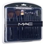Makeup Brush Collection (Pack of 12)