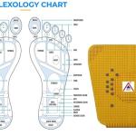 Acupressure Health Care Power Mat (Pack of 1)