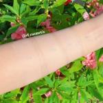 Perfect Oil Free Concealer (Pack of 1)