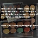 Professional 8 COLOR CONCEALER PALLETE (Pack of 1).