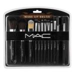 Makeup Brush Collection (Pack of 12)