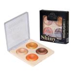 Professional 4 IN 1 BLUSHER & HIGHLIGHTER.