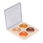 Professional 4 IN 1 BLUSHER & HIGHLIGHTER.