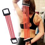 Resistance Chest Expander or Gymnastic Chest Developer (Pack of 1)