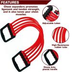 Resistance Chest Expander or Gymnastic Chest Developer (Pack of 1)