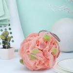 Sponge – Premium Round Loofah Body Wash Puff and Shower Scrubber (Pack of 2)