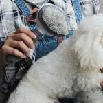 Self Cleaning Slicker Brush, Pet Grooming, Shedding Brush for Dogs and Cat Pet Massaging Tool