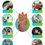 Finger Stretcher Resistance Band Hand Grip/Fitness Grip (Pack of 3)
