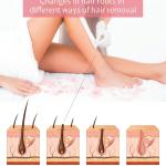 Face Wax Hair Removal Wax Kit | Wax Warmer Machine, Wax Refill Cartridge, Wax Strip for Women Wax'
