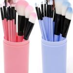 12pcs Professional Make Up Brush for Foundation Blush, Portable Storage Box, Best Gift Kit (Blue And Pink