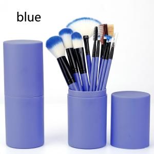 12pcs Professional Make Up Brush for Foundation Blush, Portable Storage Box, Best Gift Kit (Blue)