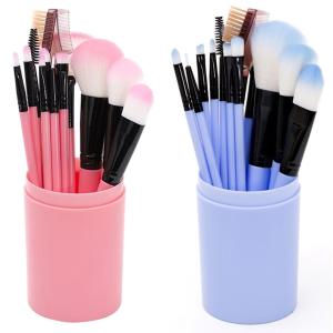 12pcs Professional Make Up Brush for Foundation Blush, Portable Storage Box, Best Gift Kit (Blue And Pink