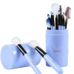 12pcs Professional Make Up Brush for Foundation Blush, Portable Storage Box, Best Gift Kit (Blue)